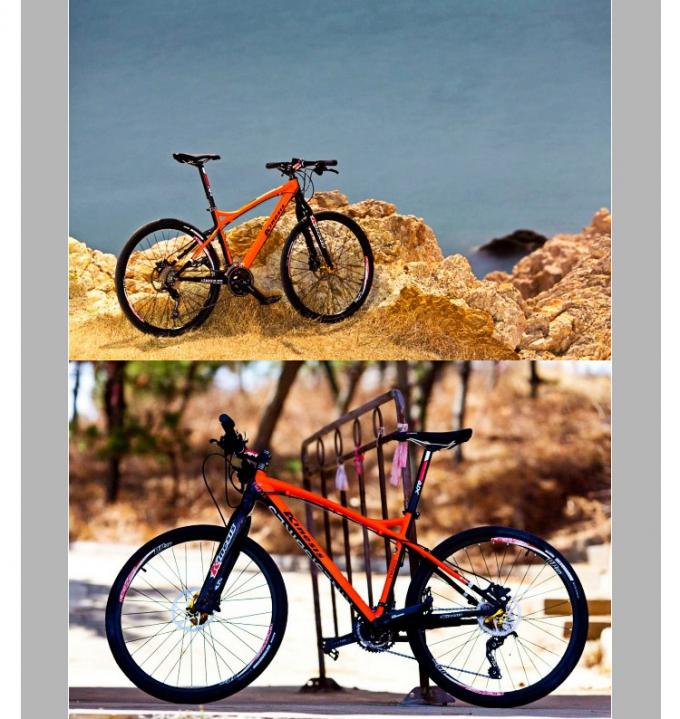 A bicicleta feita sob encomenda rígida branca/preto bifurca-se 800 gramas com o SPF que forma a tecnologia